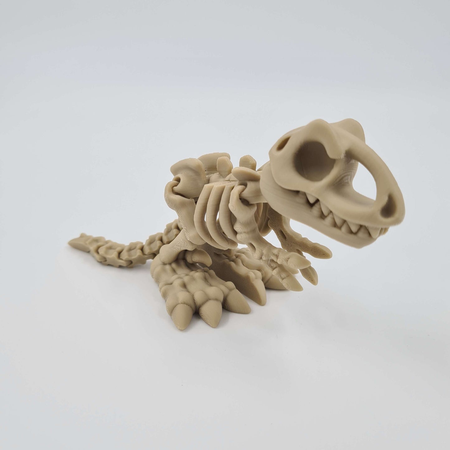 Skeleton Dinosaur T-Rex Flexi