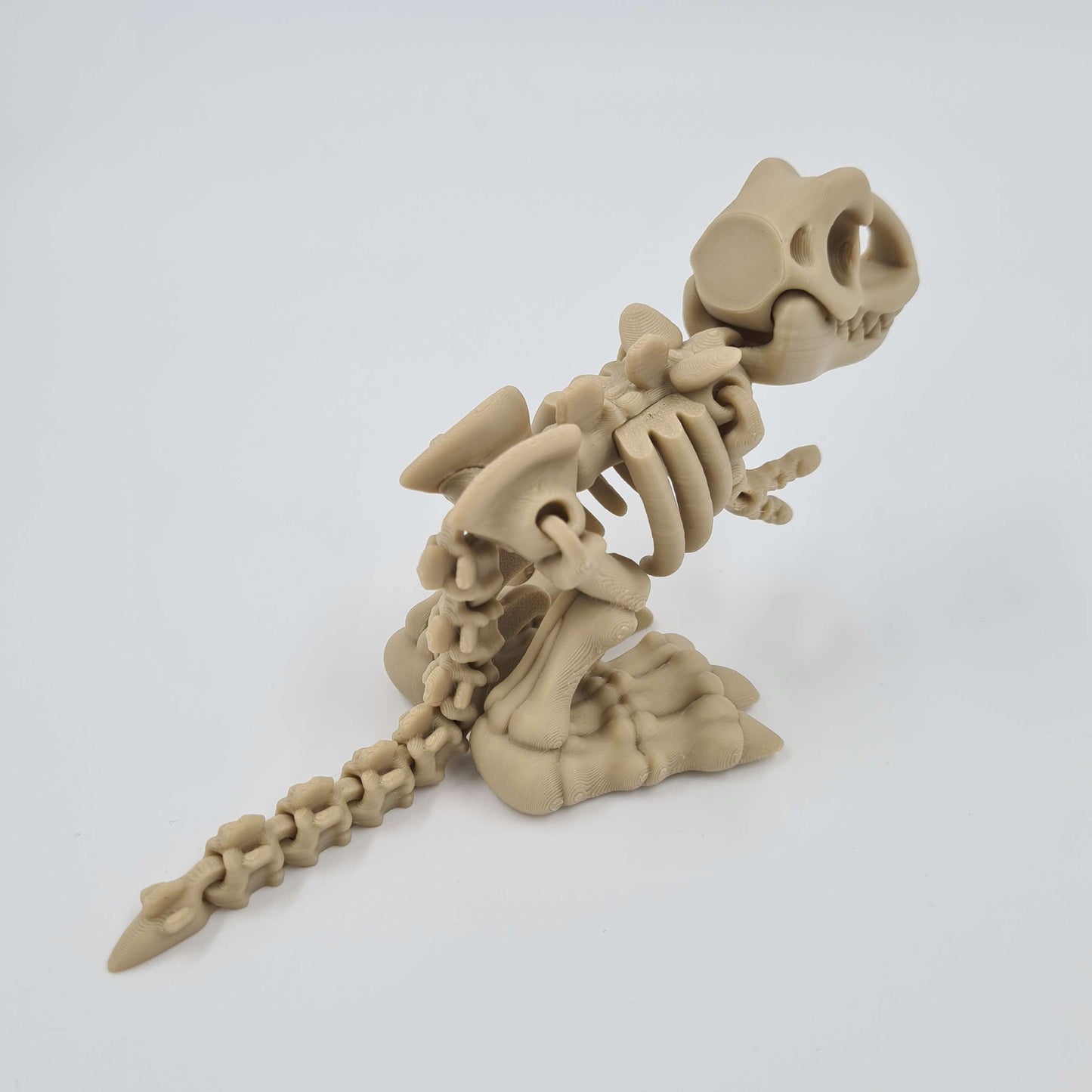 Skeleton Dinosaur T-Rex Flexi