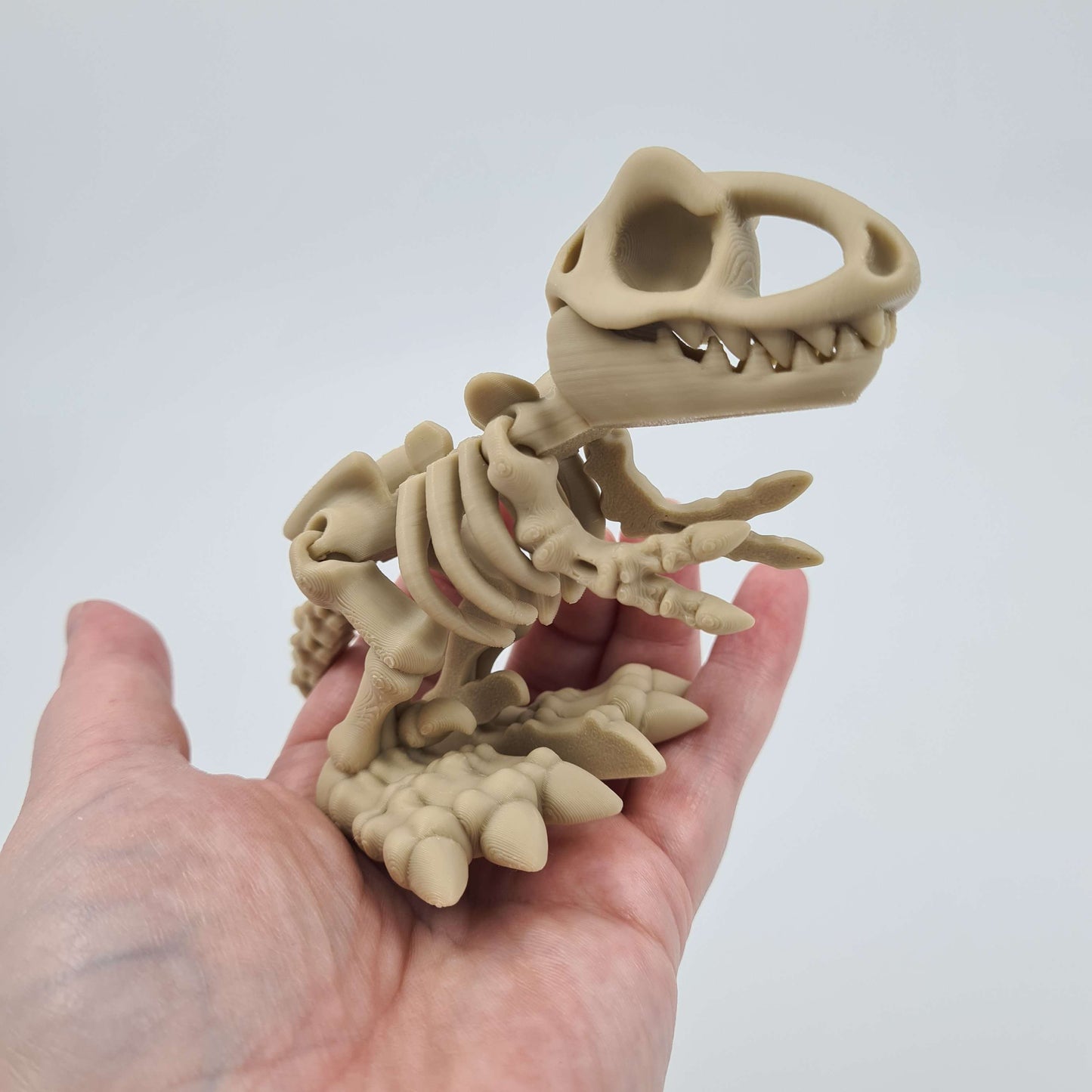 Skeleton Dinosaur T-Rex Flexi