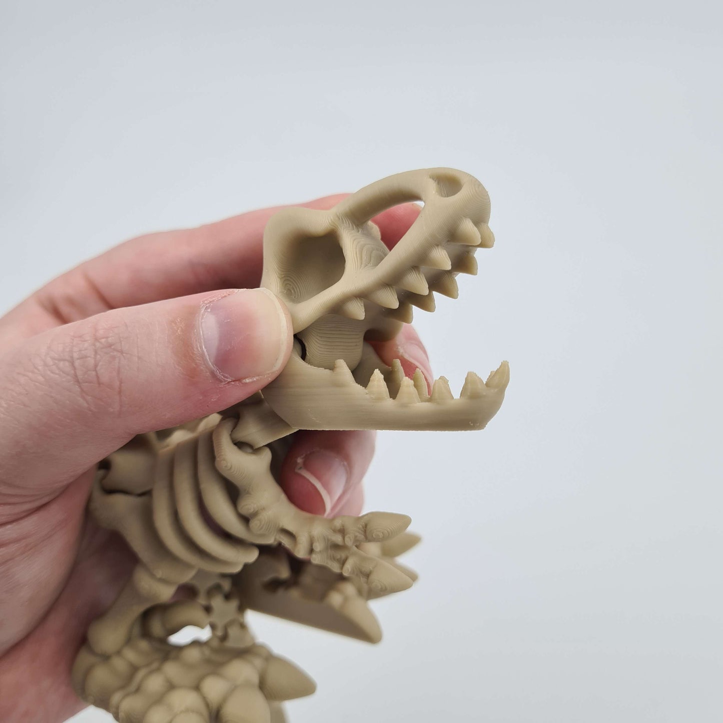 Skeleton Dinosaur T-Rex Flexi