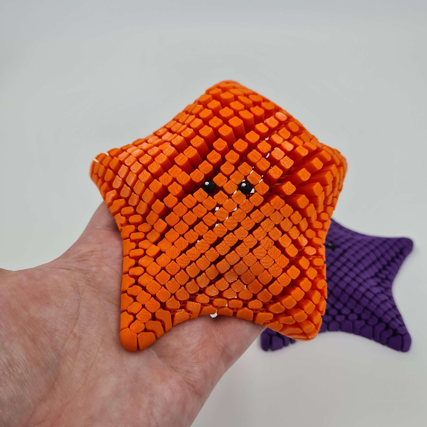 Sea Star Fidget Toy