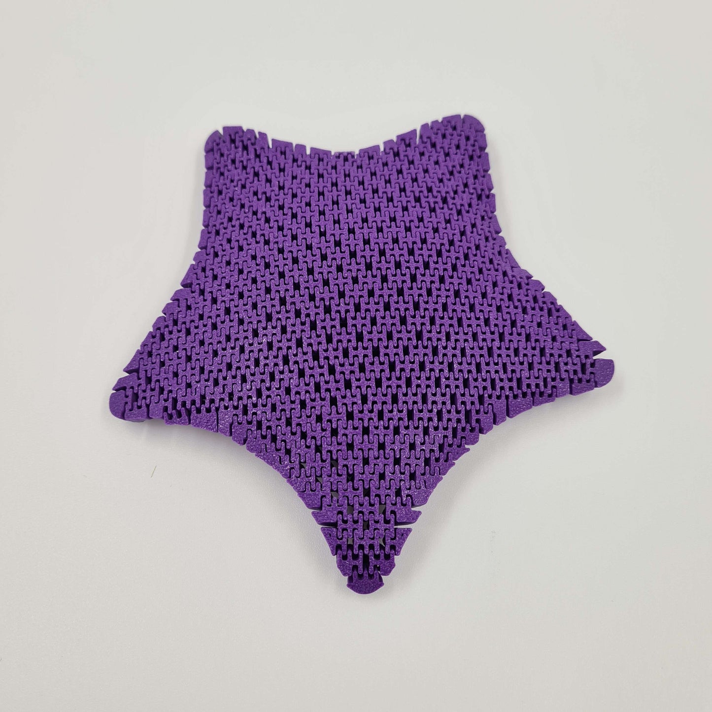 Sea Star Fidget Toy