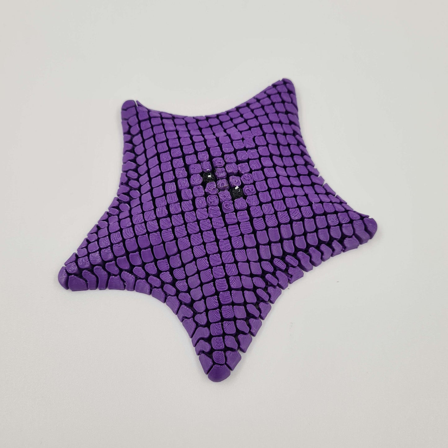 Sea Star Fidget Toy
