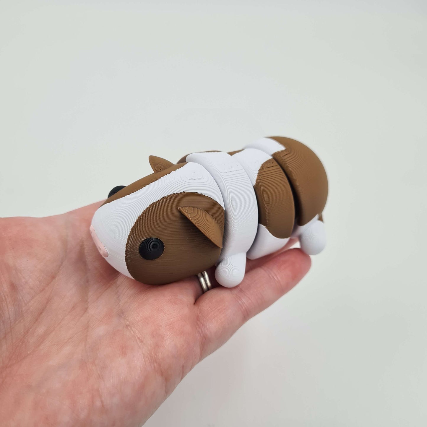 Guinea Pig Flexi Fidget Toy
