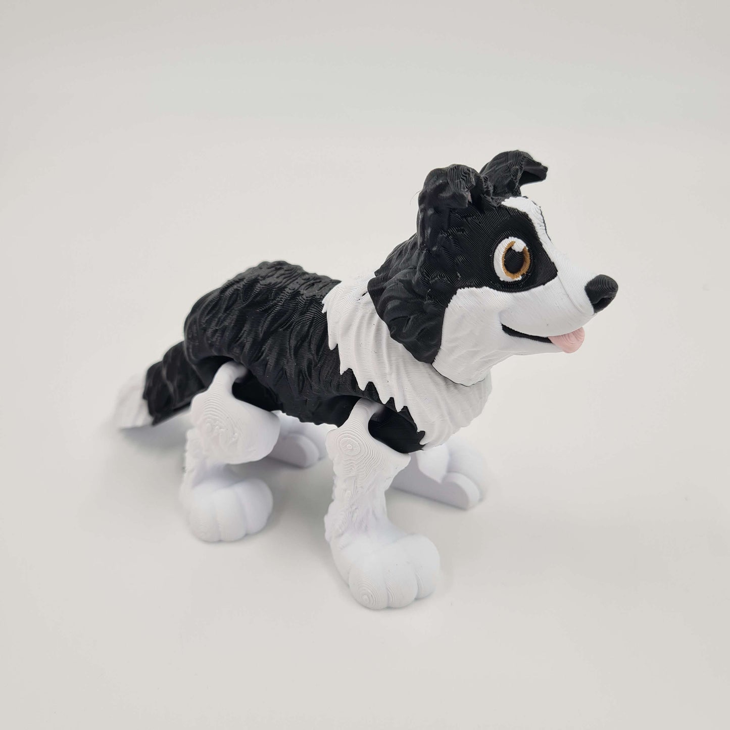 Border Collie Flexi