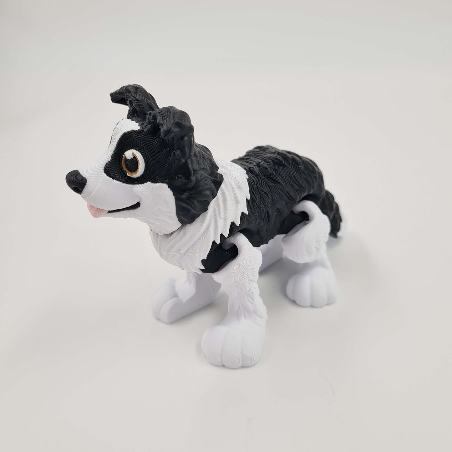 Border Collie Flexi