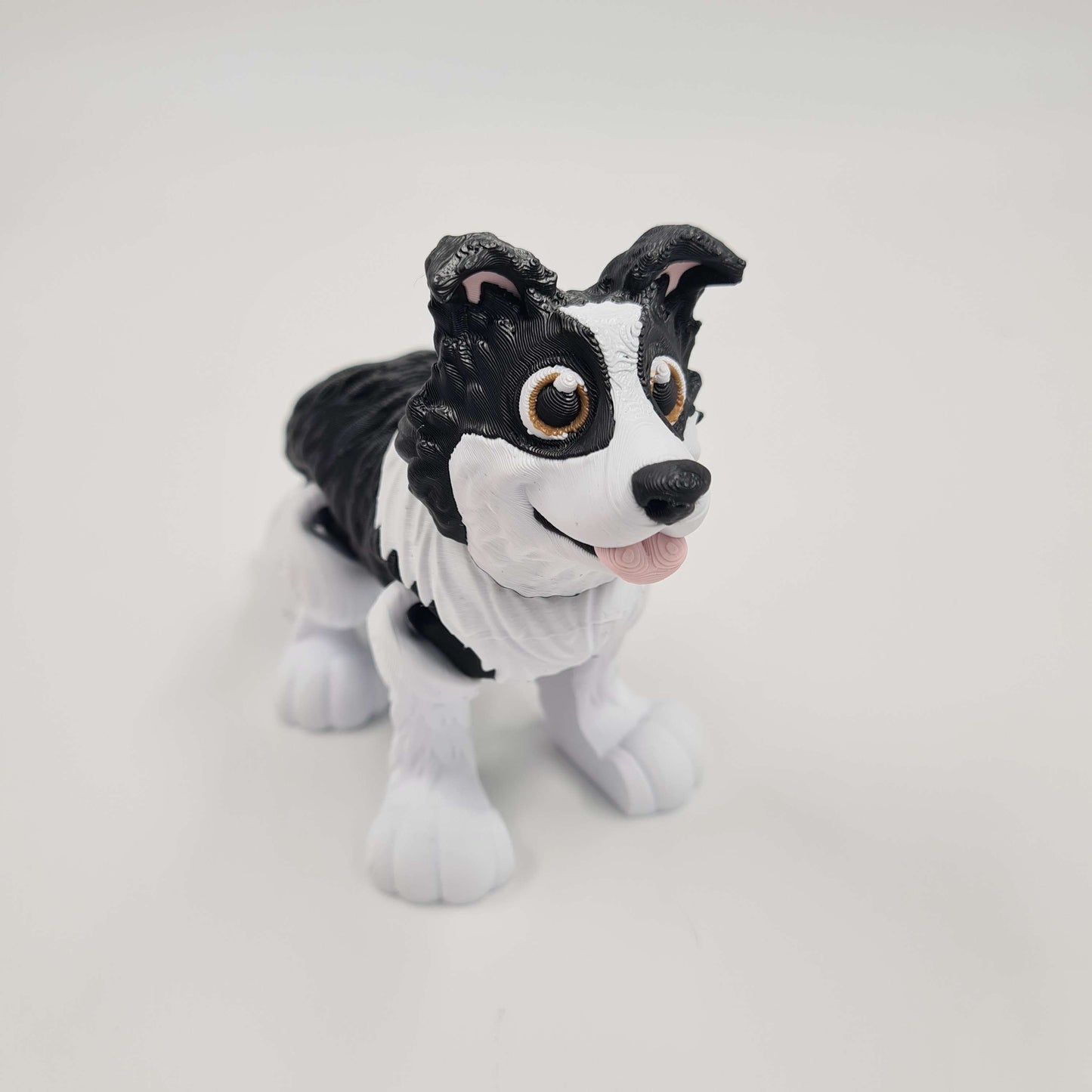 Border Collie Flexi