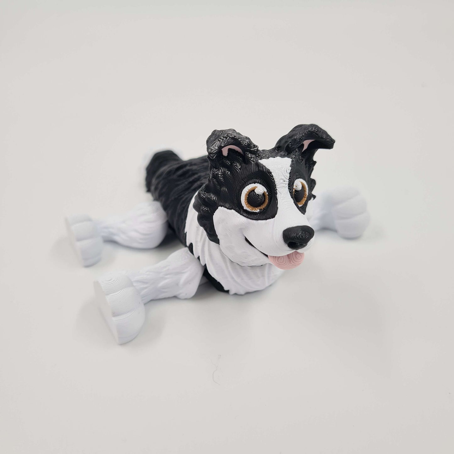 Border Collie Flexi