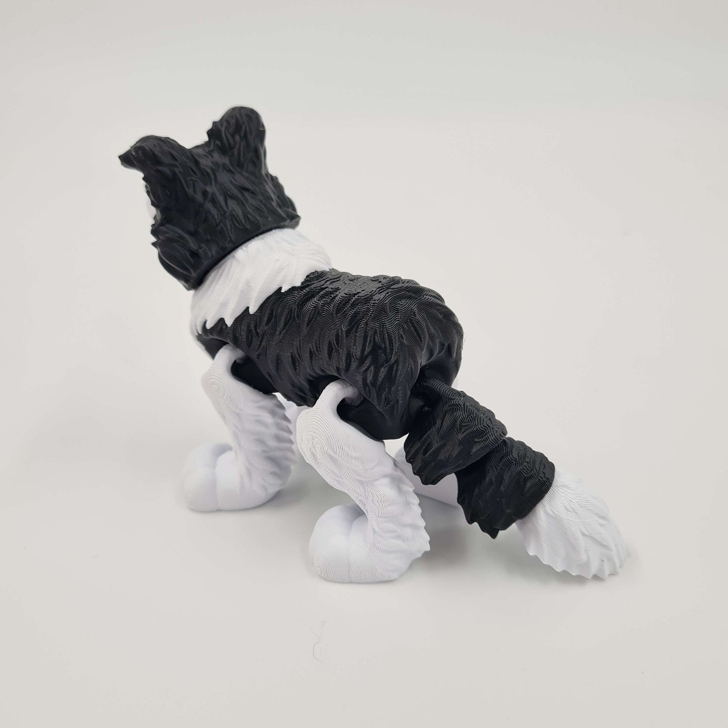 Border Collie Flexi