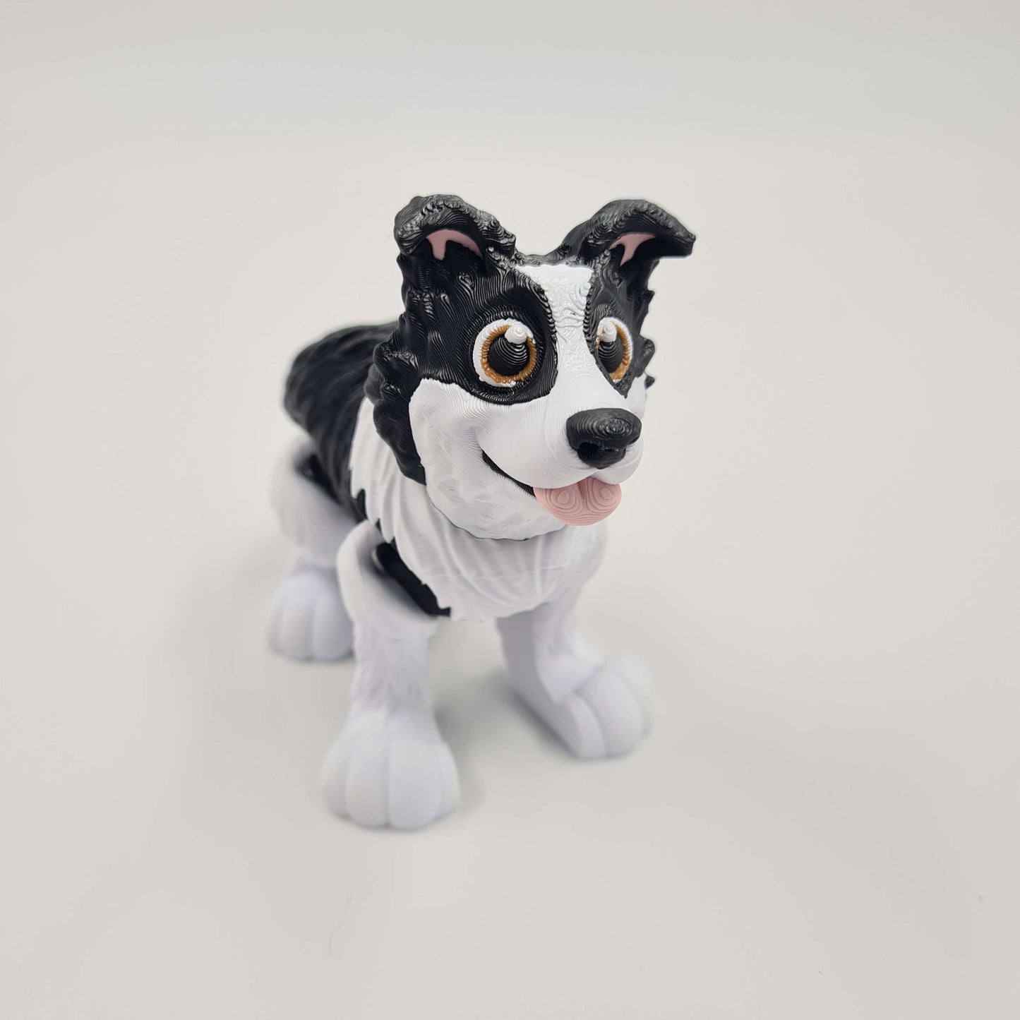 Border Collie Flexi
