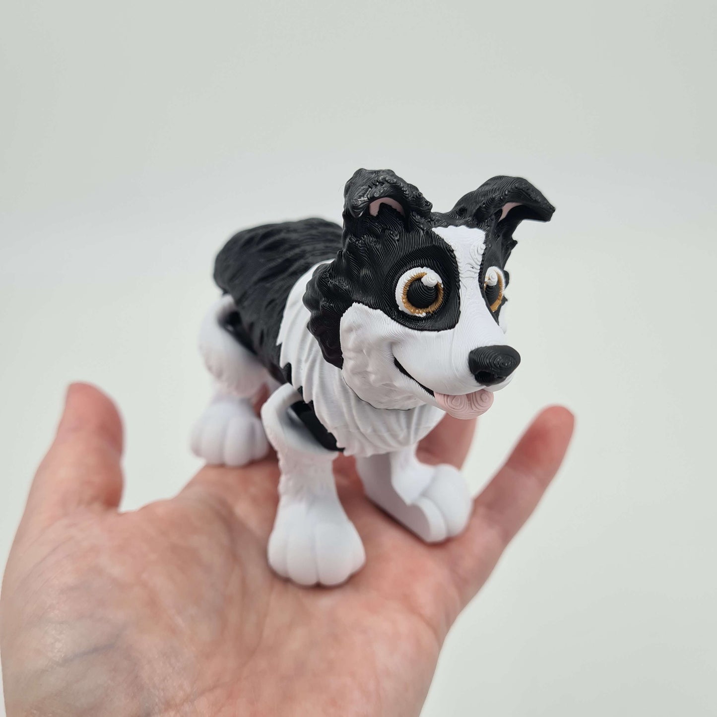 Border Collie Flexi