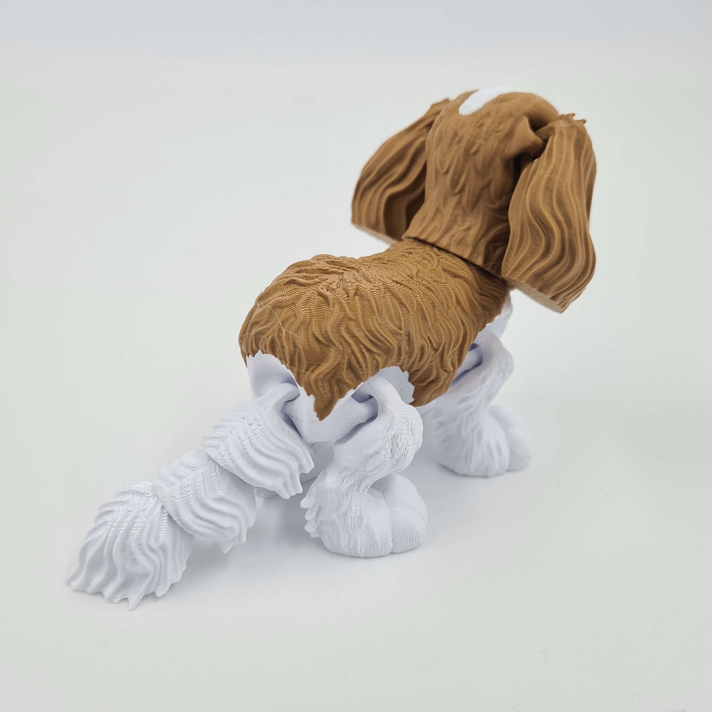 Cavalier King Charles Spaniel Flexi