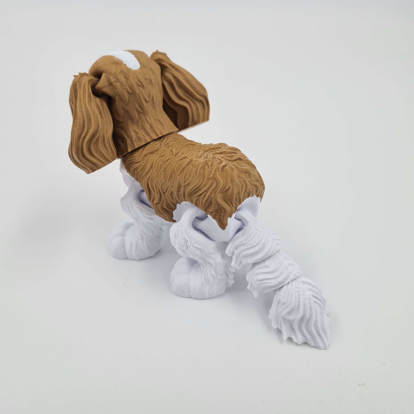 Cavalier King Charles Spaniel Flexi