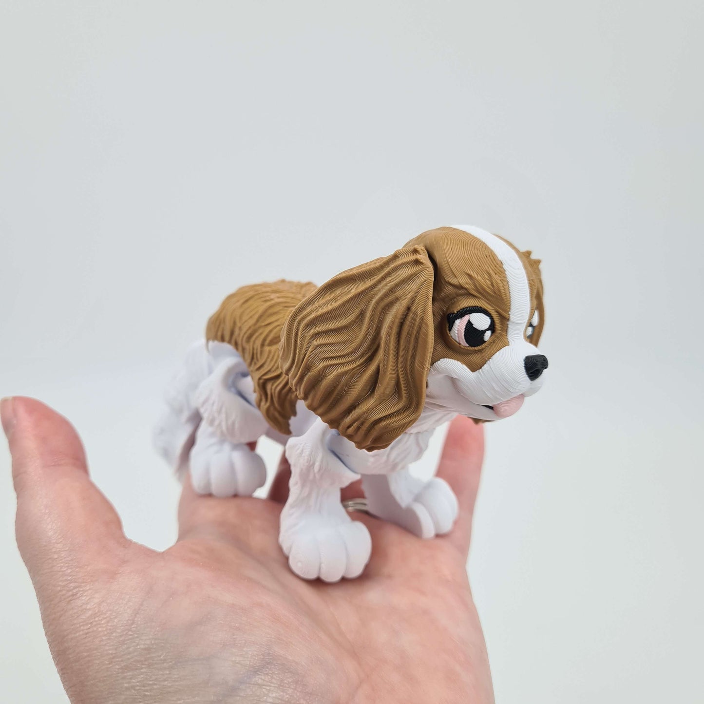Cavalier King Charles Spaniel Flexi