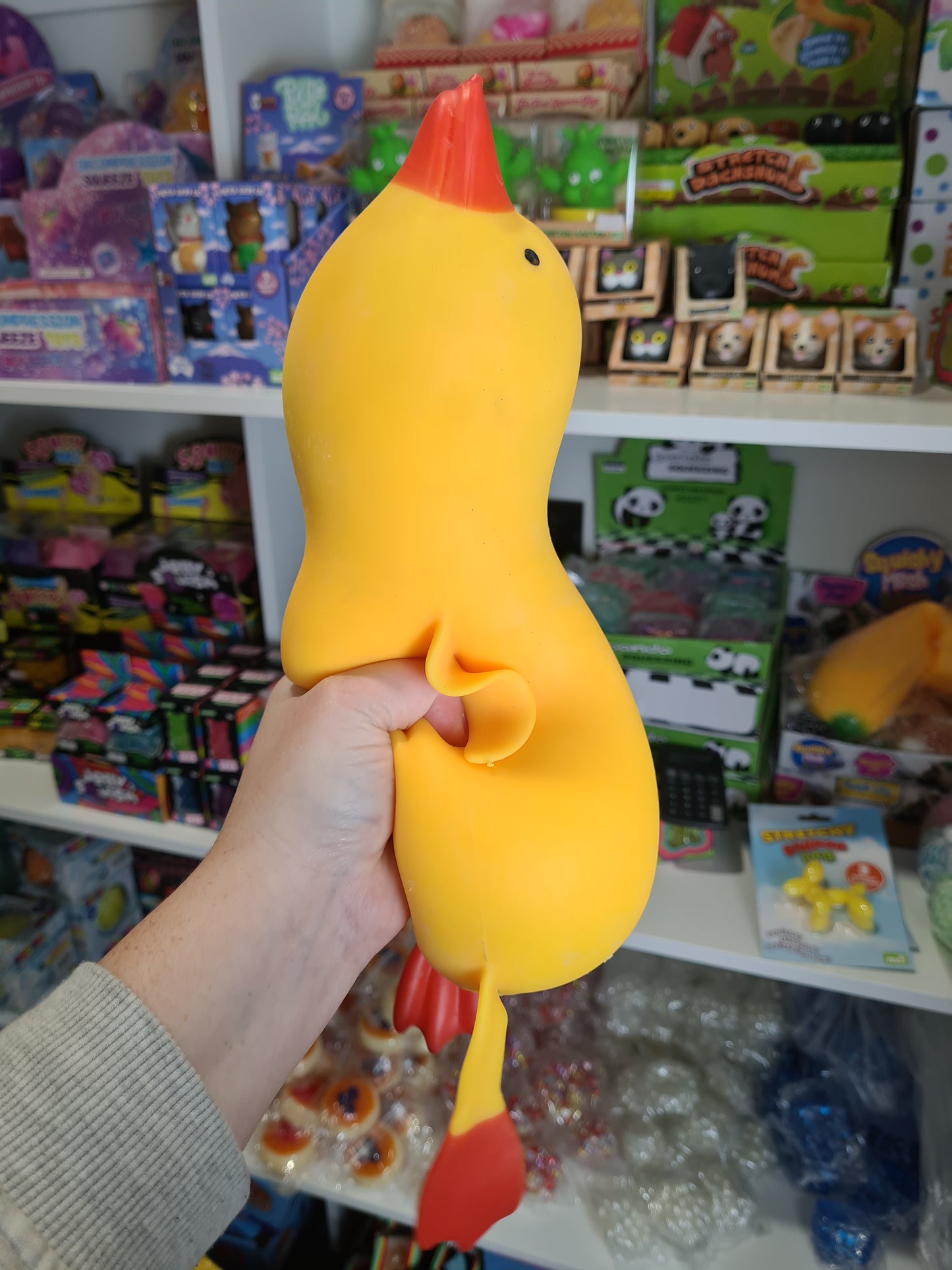 Jumbo Duck Squishy