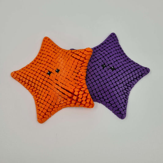 Sea Star Fidget Toy