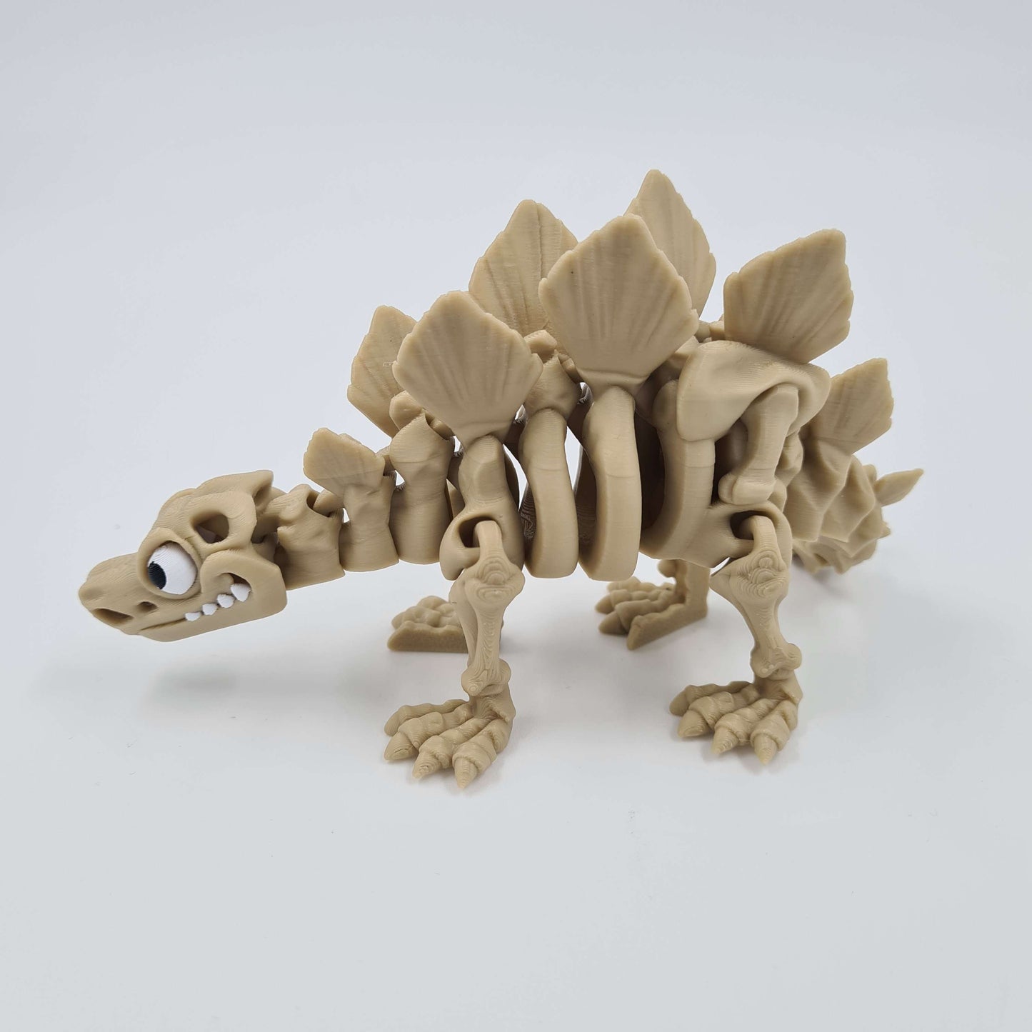 Skeleton Stegosaurus Dinosaur Flexi