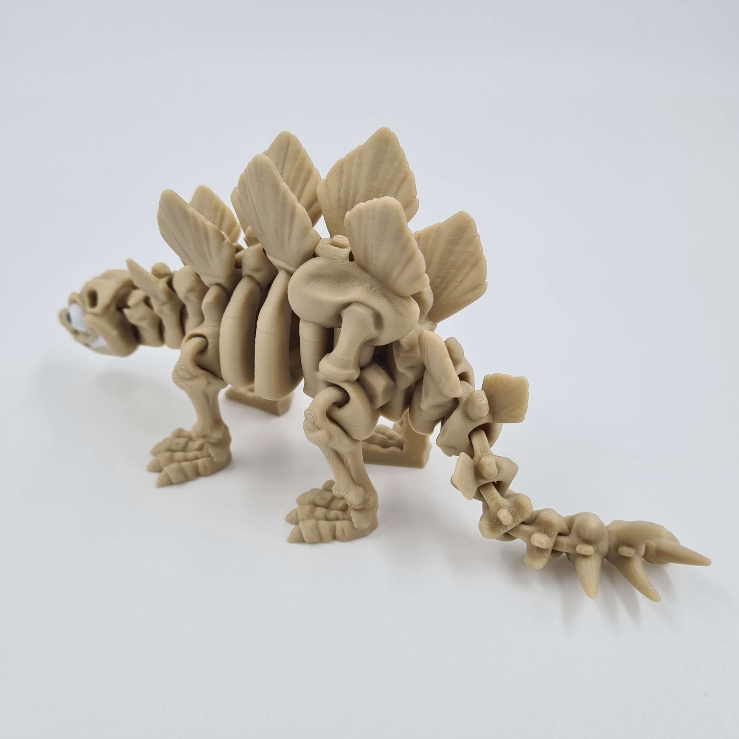 Skeleton Stegosaurus Dinosaur Flexi