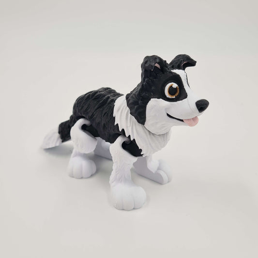 Border Collie Flexi