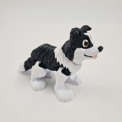 Border Collie Flexi
