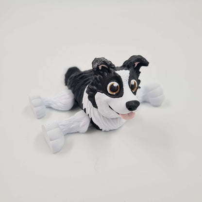 Border Collie Flexi