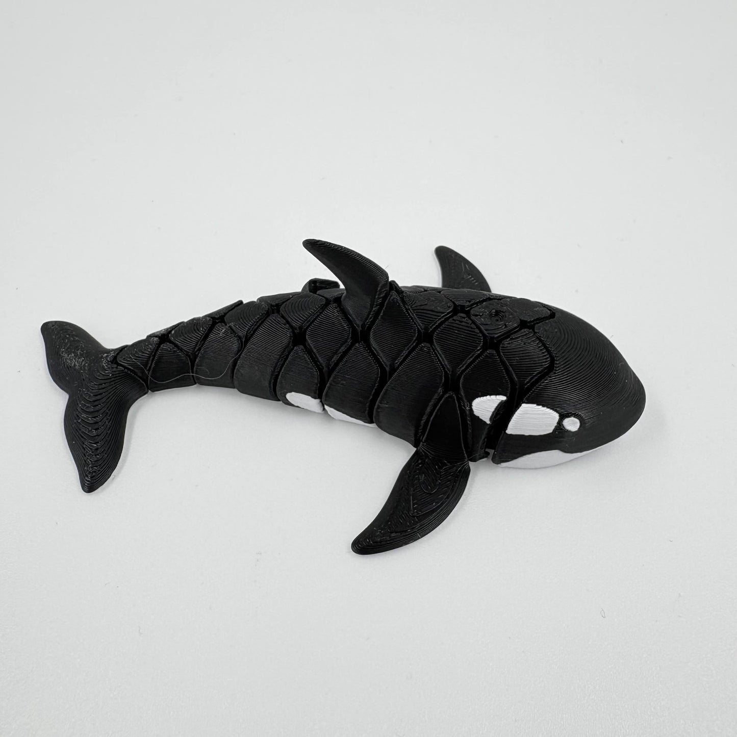 Orca Whale Flexi