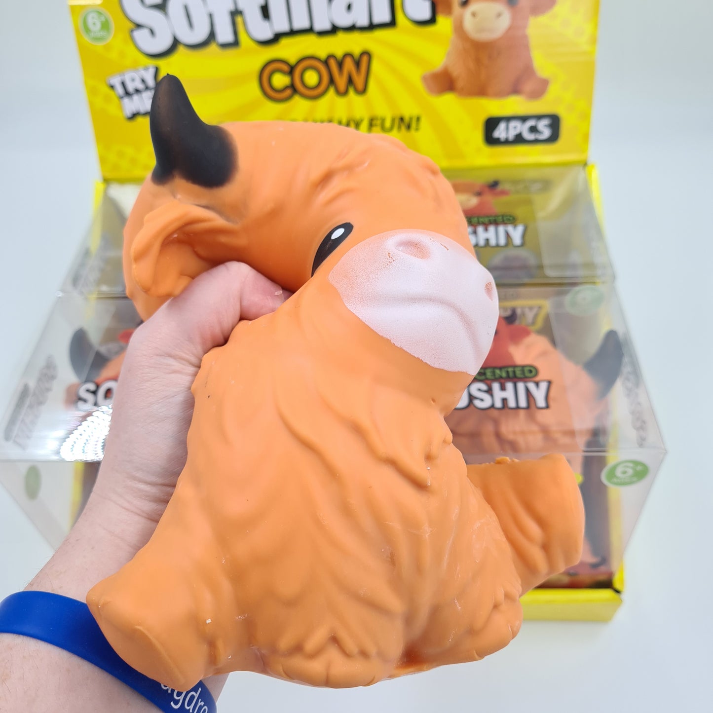 Jumbo Highland Cow